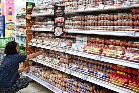 What is the difference between the many locally farmed eggs in Singapore?