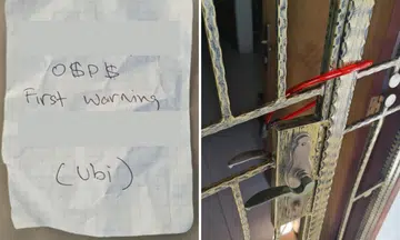 loanshark harassment