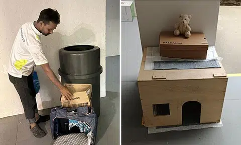 makeshift cat homes in bukit batok