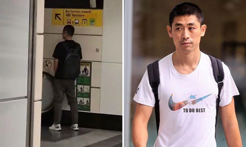 On Jan 14, Li Guorui, 41, pleaded guilty to one charge of being a public nuisance. PHOTOS: STELLA KEE/FACEBOOK, KELVIN CHNG/ST