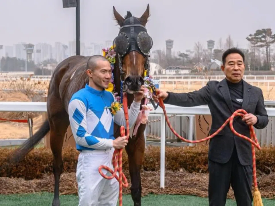 Crown Hamseong flanked by winning jockey Wong Chin Chuen and trainer Lee Gwan-ho at the Seoul winner's circle after her win in the Listed Segye Ilbo Trophy (1,200m) on Feb 16. That first feature success has taken Wong's tally to 43 winners, with 35 and eight winners on either side of a Kranji break.
