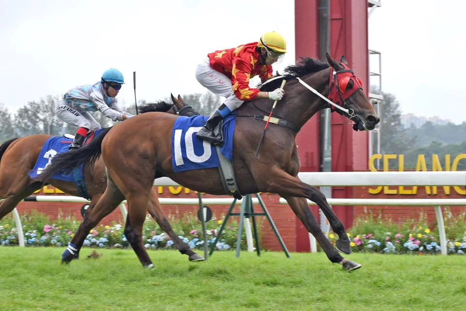 Choi's pair strut their stuff in trackwork | STOMP