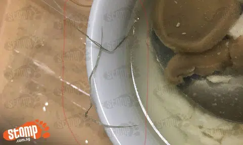 Cancer patient finds mysterious "string" in food but kitchen insists it is food and throws it away