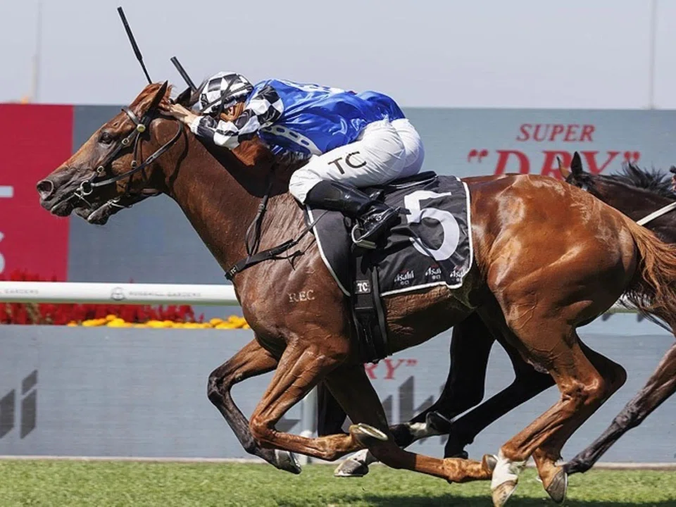 The Gai Waterhouse and Adrian Bott-trained Vauban (Tim Clark) storming home on the outside to edge Arapaho (Rachel King) out in the Group 3 Sky High Stakes (2,000m) at Rosehill on March 15. The pair renew rivalry in the Group 1 Tancred Stakes (2,400m)...