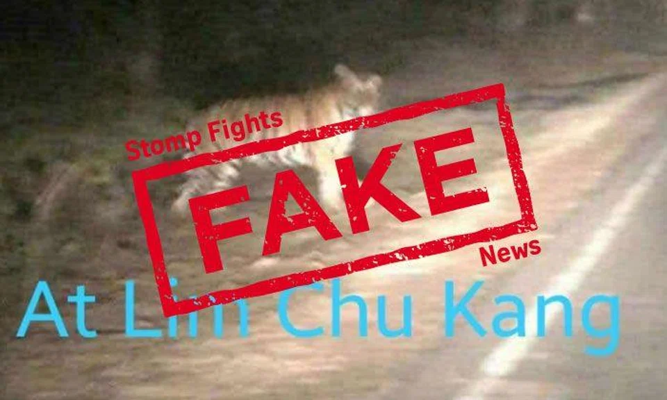 Received photos of tiger at "Lim Chu Kang"? This didn't happen in Singapore