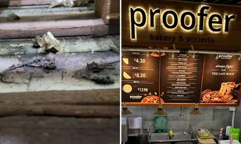 Proofer Bakery fined $3,000 after dead mice found in 2021, Changi mall outlet suspended in July 2023