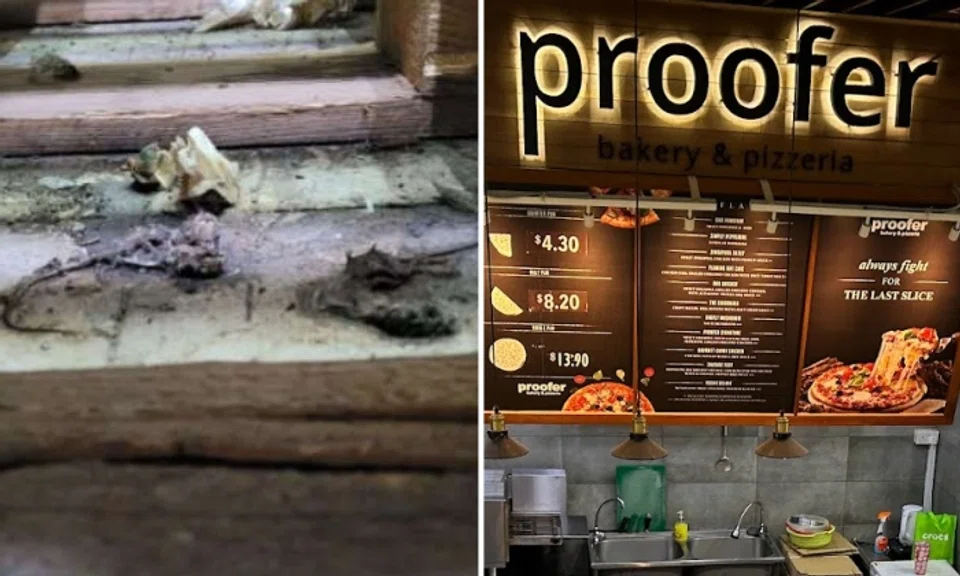 Proofer Bakery fined $3,000 after dead mice found in 2021, Changi City Point outlet suspended in July 2023 