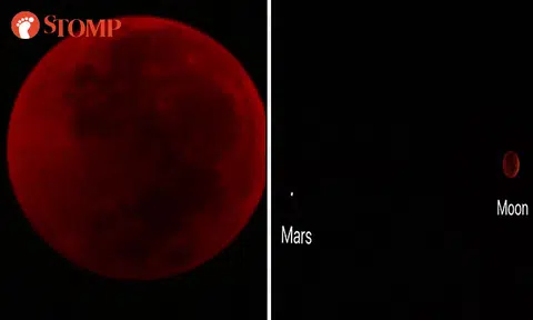 Missed this century's longest "blood moon" last night? Check out photos taken by Stomp Team