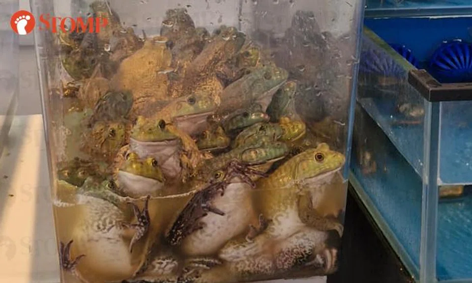 Chao Qian Seafood & BBQ Restaurant