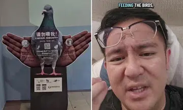 anti-bird-feeding standee draws startled reactions from netizens