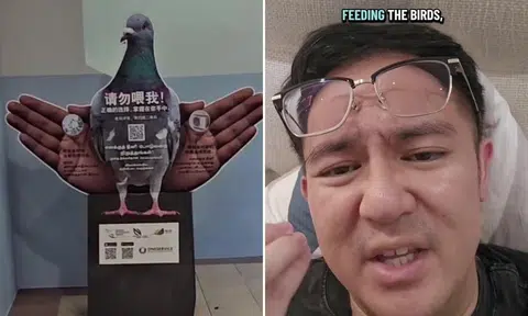 anti-bird-feeding standee draws startled reactions from netizens