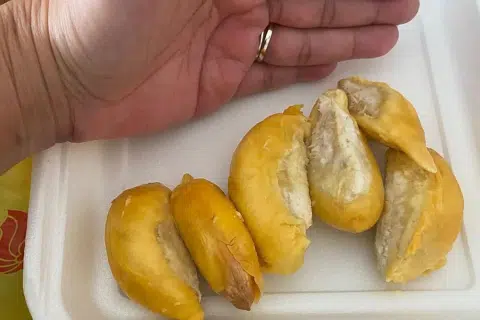 Customer prickles over small durian pieces with scanty flesh; seller says meatiness not guaranteed
