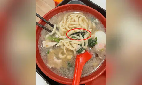 centipede found in soup seletar mall