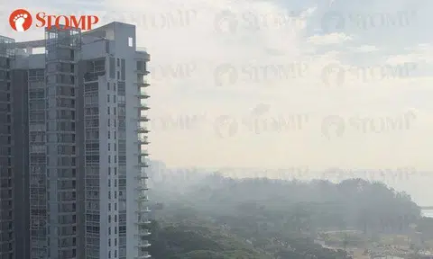 Strong burning smell in eastern Singapore due to fire at landfill in Johor: NEA