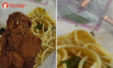 GrabFood issues customer refund after she finds mosquito in her salted egg pasta