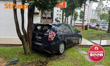 Woman arrested for drink driving after crashing into tree in Teck Whye