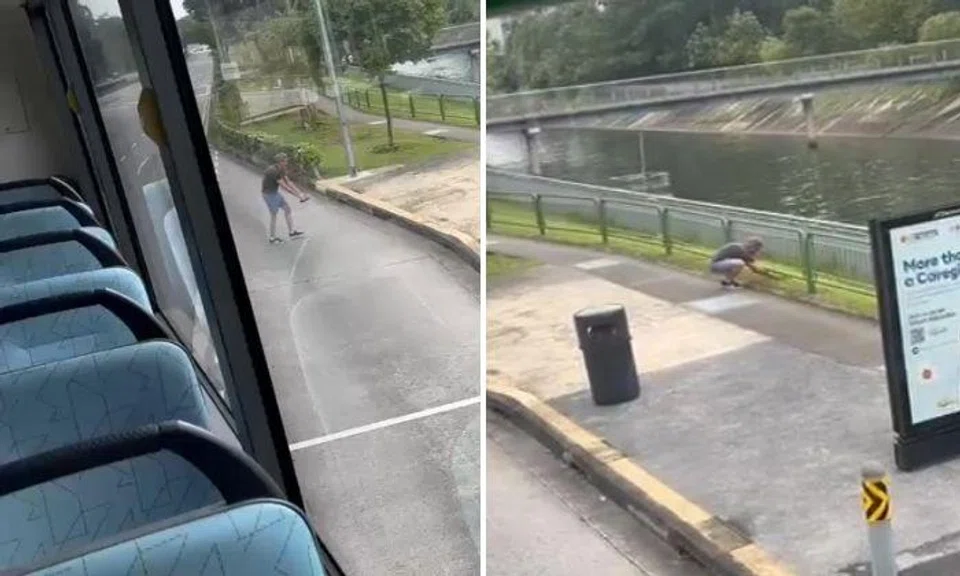 Turtle nearly run over by bus in Buangkok, passenger alights to carry it to safety -- and he looks familiar