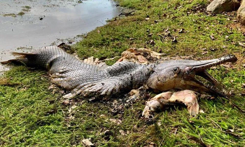 Photos: Karen Lythgoe/Facebook