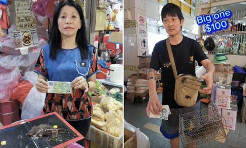 Clementi hawkers rewarded up to $100 for catching rats