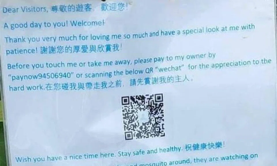 Scammers have allegedly solicited donations at Jurong Lake Gardens, claiming to be collecting funds on behalf of those who grow plants in allotment plots in the park. Photos: The Straits Times