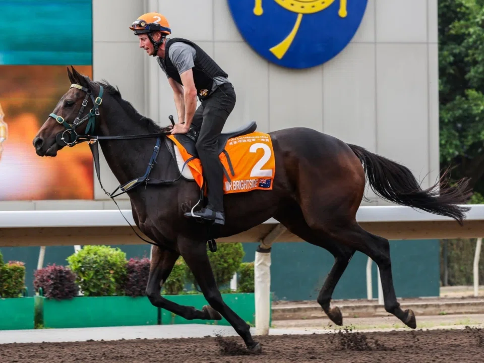 Mr Brightside going for an easy spin around the dirt track at Sha Tin on the morning of April 21.