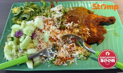 $11 biryani with extra vegetables