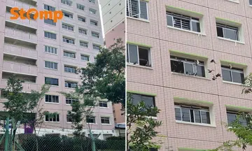 pigeon feeding at chai chee hdb flat