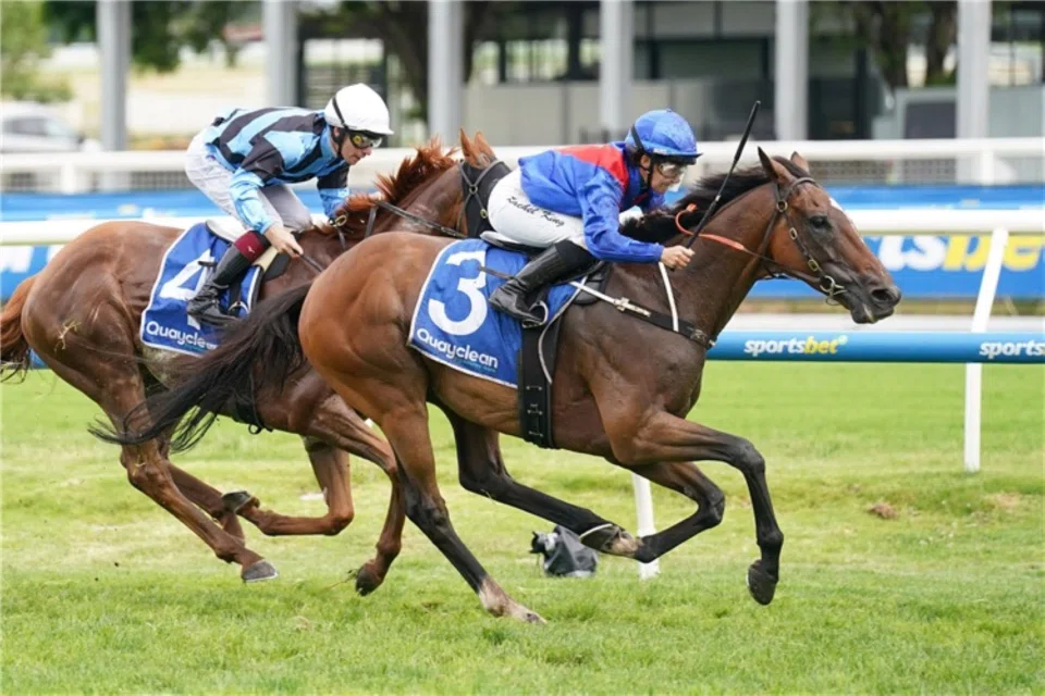 Arapaho (Rachel King) edging past Smokin' Romans (Ben Melham) to land the Group 2 Zipping Classic (2,400m) at Caulfield on Nov 30, 2024. He will line up in the Group 1 Tancred Stakes (2,400m) at Rosehill on March 29.
