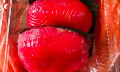 Woman finds mould on ang ku kueh a day after buying them