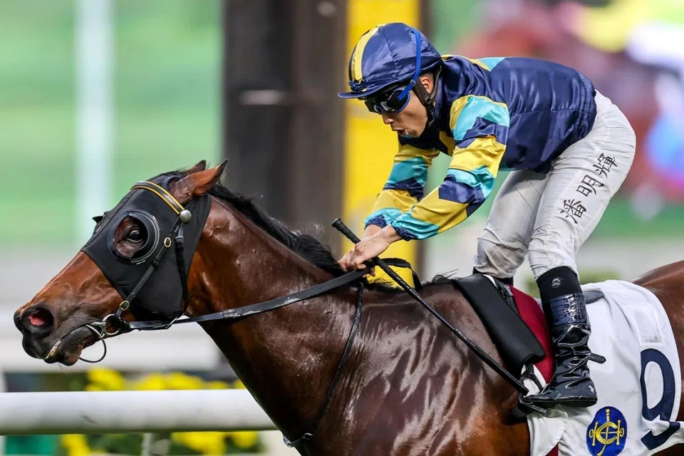 Lady's Choice (Matthew Poon) scoring from barrier to box in the Class 2 Pok Fu Lam Reservoir Road Handicap (1,200m) at Sha Tin on May 10.