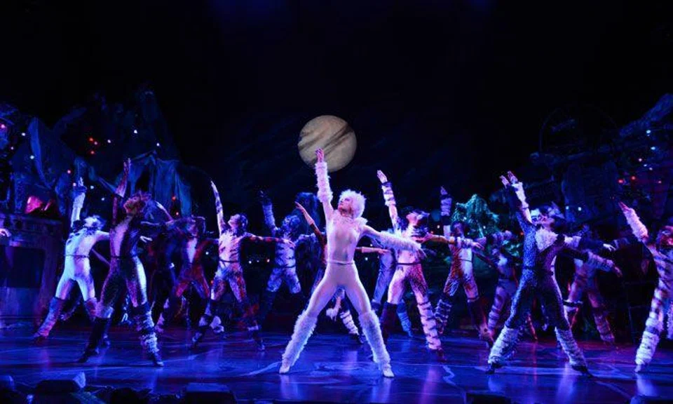 CATS Tour 2019 Photography by Alessandro PinnaSTARS TIFF 