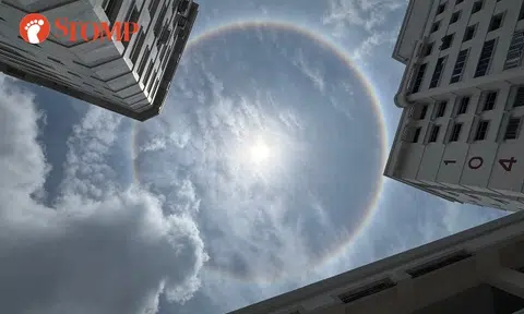 From AMK to Pasir Ris, Stompers share photos of 'full circle rainbow' -- but it's actually a sun halo