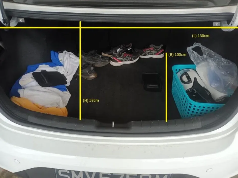 The puppies suffered in the vehicle for at least two hours, National Parks Board prosecutor Fadhlina Idris noted. PHOTO: COURT DOCUMENTS