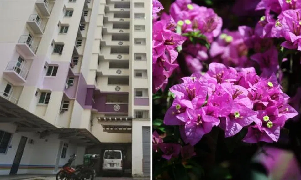 Block 9A Boon Tiong Road had already been painted several shades of purple to reflect the colour of bougainvillea.
