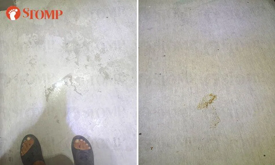 Town council looking for pet owner after Woodlands resident complains of dog poo and urine in lift