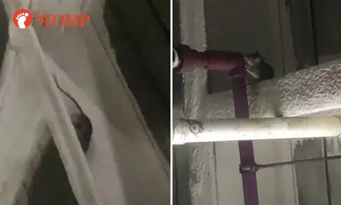 MOM conducts surprise inspection after resident shares video of rat in Woodlands workers' dorm