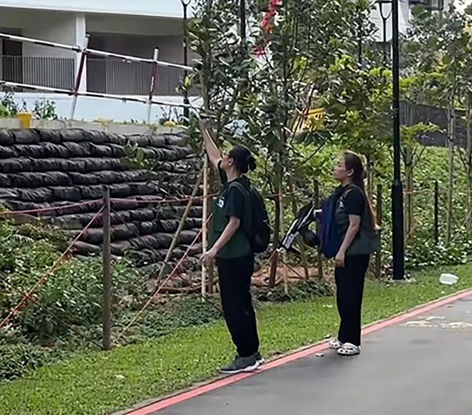 NParks contractors using water gel blasters to drive the monkeys out of an HDB estate in Punggol on Aug 2.