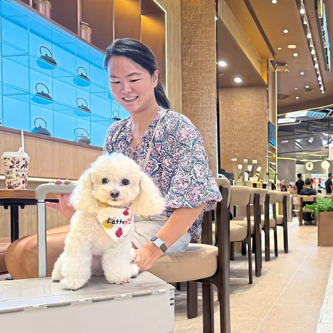 A mall patron with her pet dog enjoying their time together.
