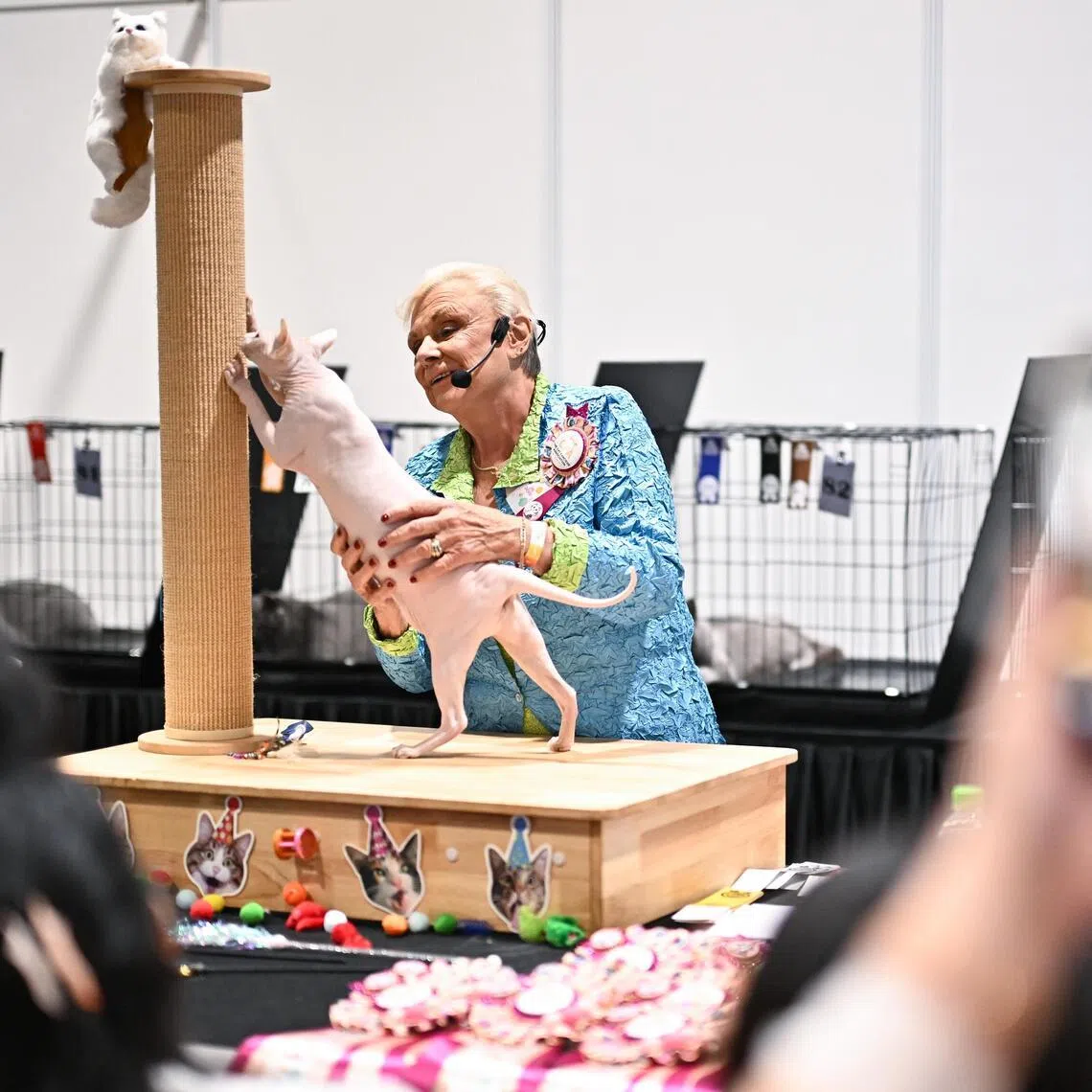 Judge Jan Rogers judging a sphynx cat during CFA Cat Show at Asia Cat Expo on June 27.
