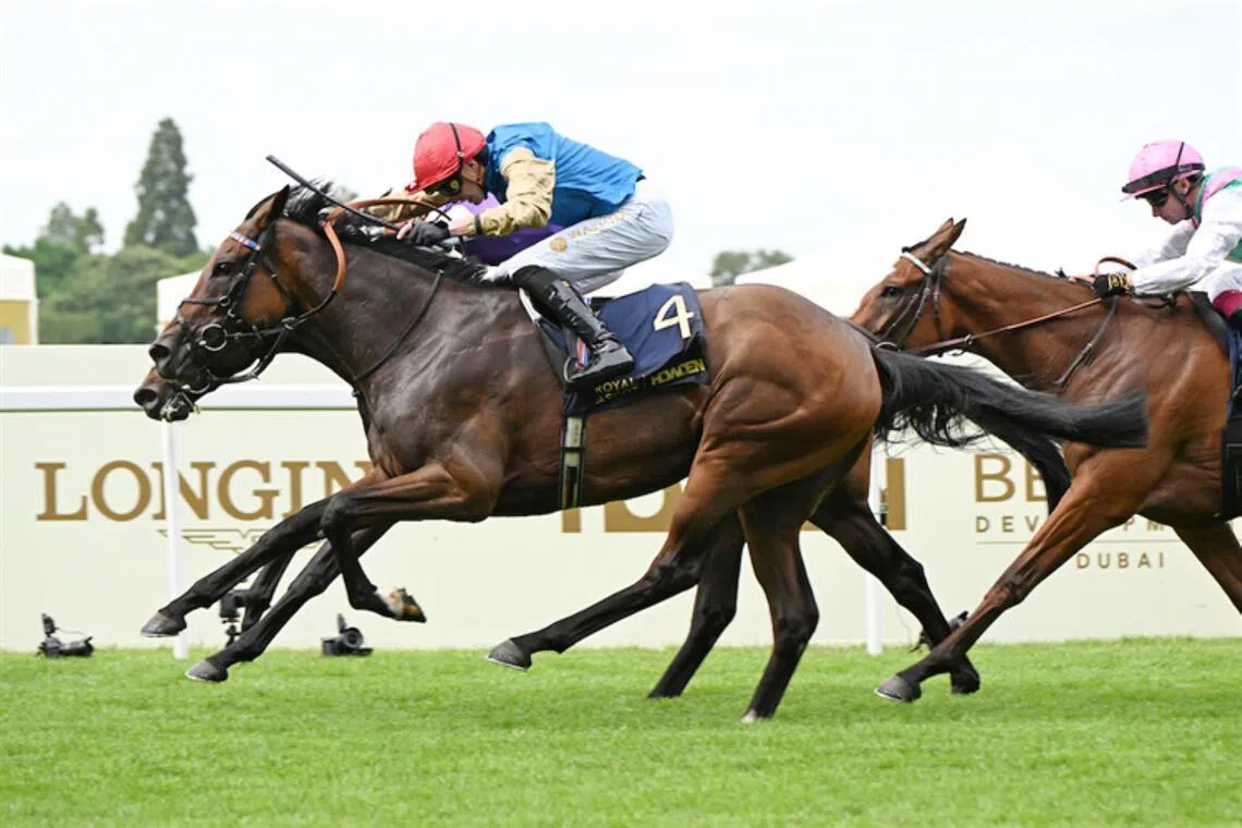 Earth Shot (James Doyle) finishing better than Johanna Walsh (Dylan Browne McMonagle) in the Group 2 Ribblesdale Stakes (2,400m) at Royal Ascot on June 18. The pair renew their rivalry in the Group 1 Irish Oaks (2,400m) at The Curragh on July 18.

PHOTO: RACING AND SPORTS