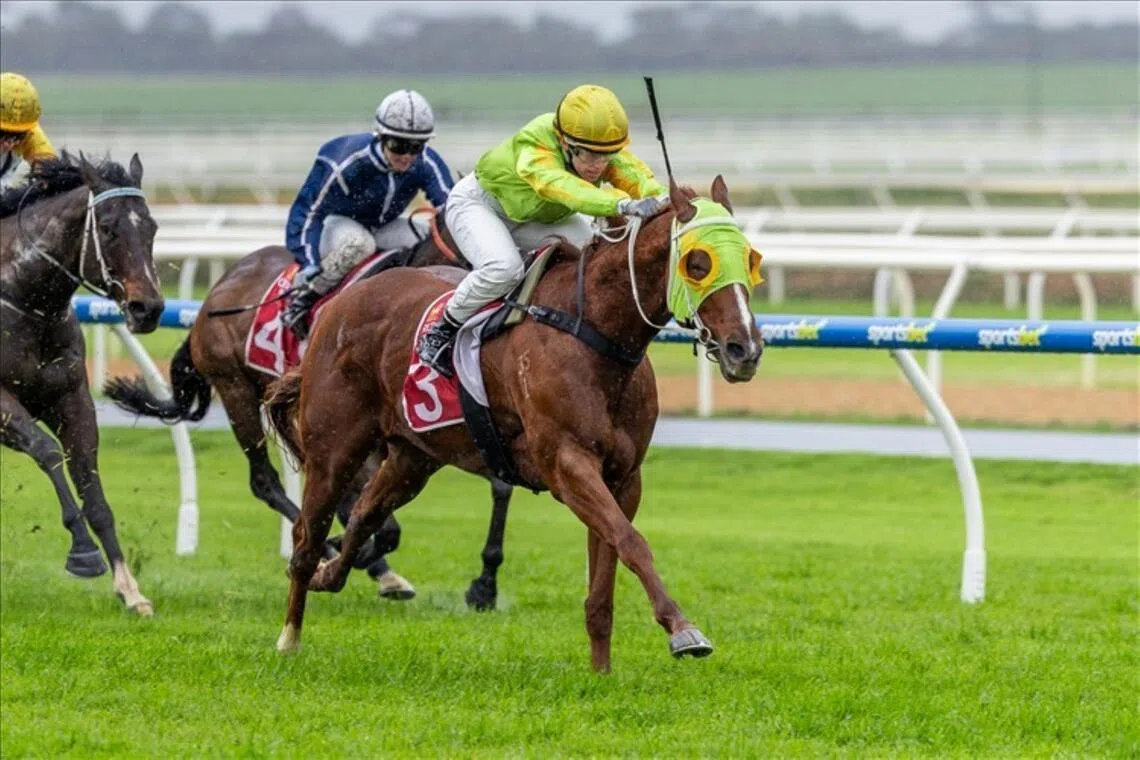 Honest Adelaide galloper Sir Now (Alysha Warren) landing the spoils at one of his nine wins in his home state. The Sir Prancelot gelding makes his first interstate visit the Group 3 Sir John Monash Stakes (1,100m) at Caulfield on July 11.

PHOTO: SKY RACING WORLD
