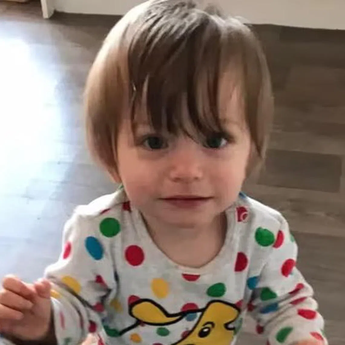 A neighbour described two-year-old Bronson Battersby as a  “gorgeous, happy little boy” who loved watching cartoons on YouTube.
