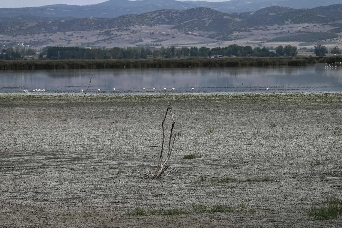 Year after year, in one region after another, record-high heat waves and droughts are followed by destructive storms and floods. 