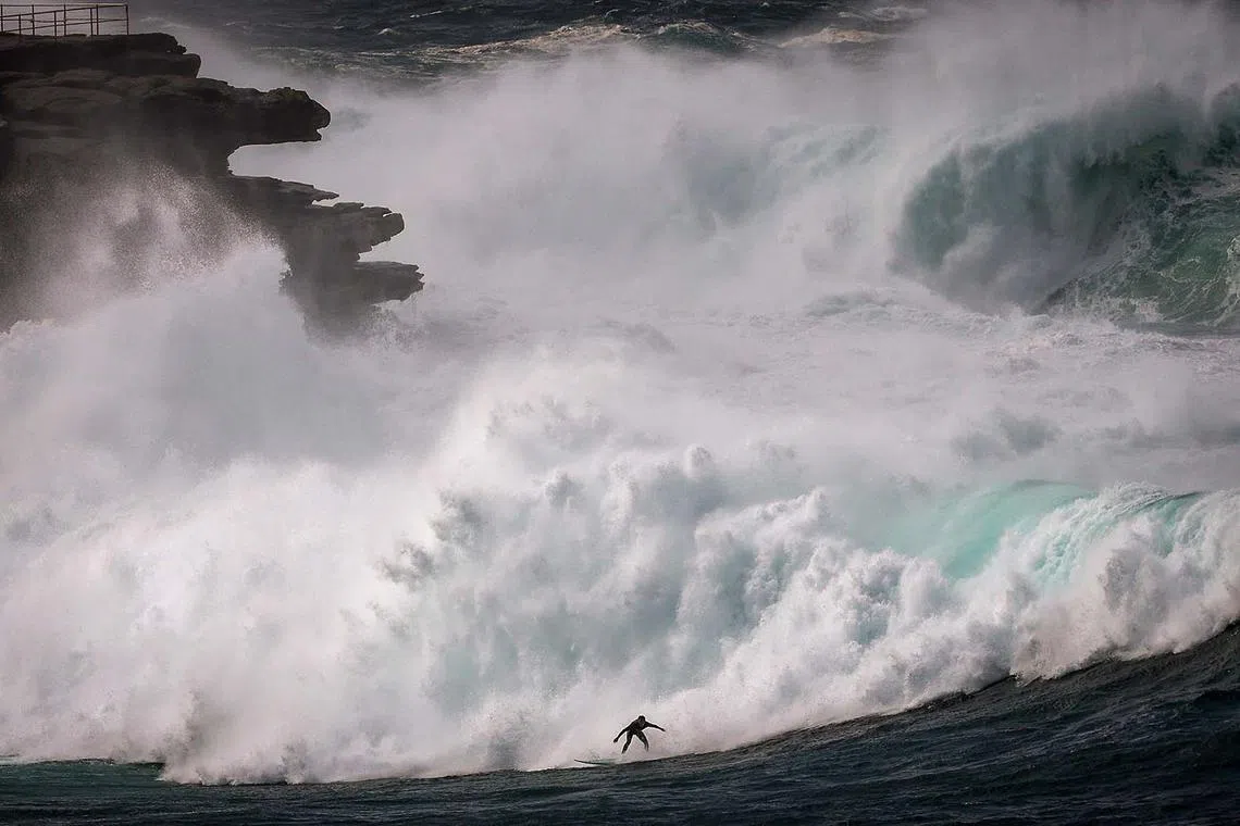 TOPSHOT - A surfer rides a large wave at Bondi Beach in Sydney on April 1, 2025, as large swells and high winds hit the east coast of Australia. (Photo by DAVID GRAY / AFP)