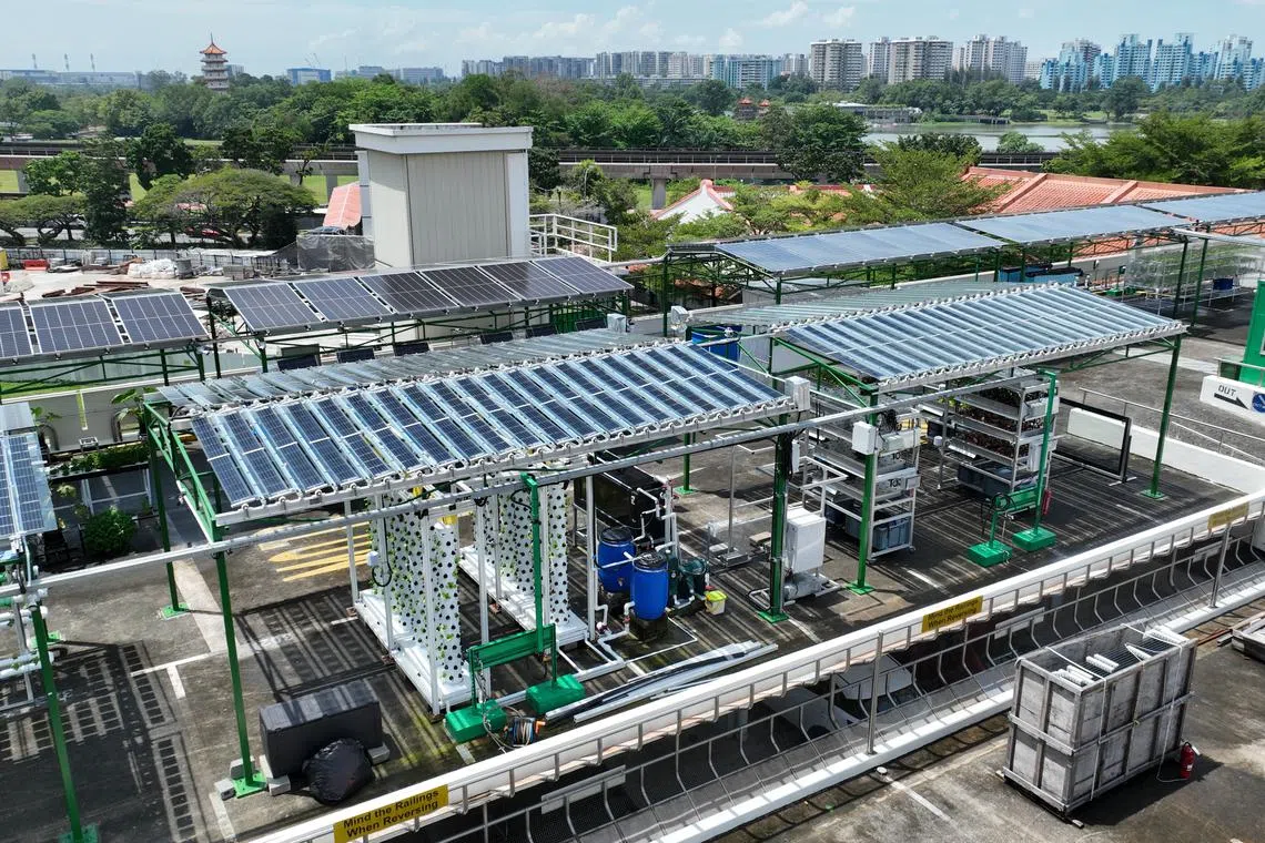 The Yuhua Agritech Solar Living Lab will run for three years, allowing the projects to pilot their solutions. In the foreground are the projects by NUS Solar Energy Research Institute of Singapore, with its rotating solar panels. 