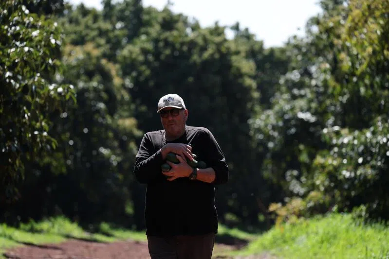 Israeli avocado farmer Ofer Moskovitz from the town of Misgav Am was killed by misfired artillery, the Israeli military said.