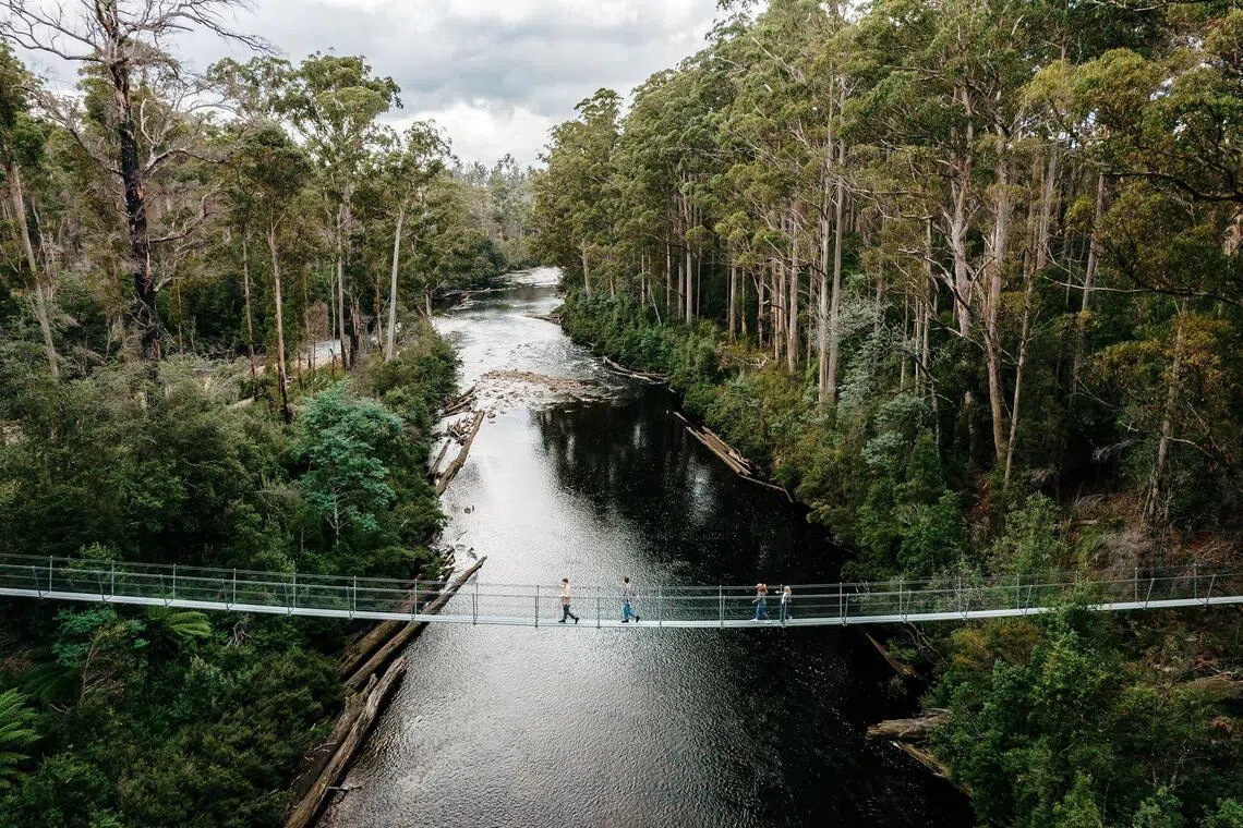 Tahune Adventures includes walking trails and suspension bridges that overlook the Huon and Picton rivers.