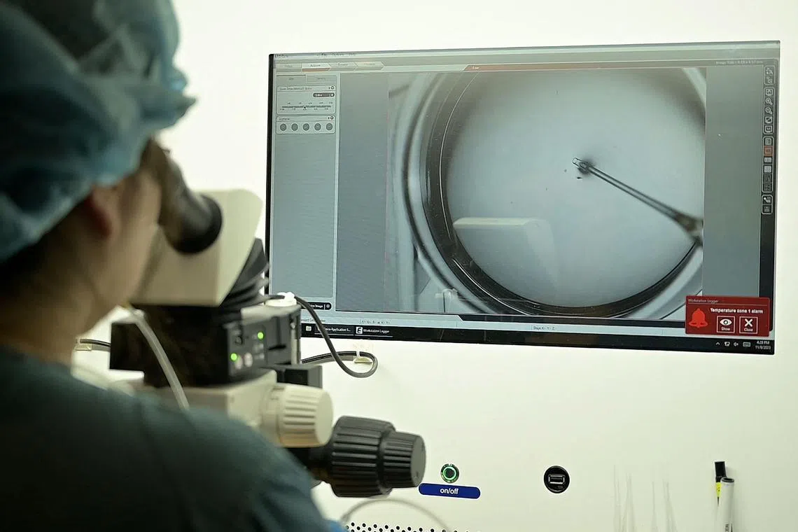 This frame grab from AFPTV video taken on November 8, 2023 shows a researcher inspecting the extracted eggs prior to the freezing procedure at a fertility research lab of CHA Bundang Medical Center in Seongnam. As South Korea's birth rate hits fresh lows, Seoul city officials have a plan to help -- subsidised egg freezing. 