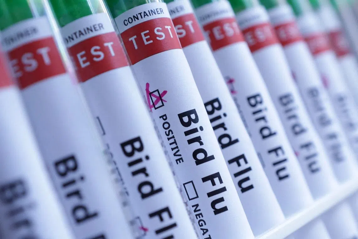Australia confirms first case of H5 bird flu