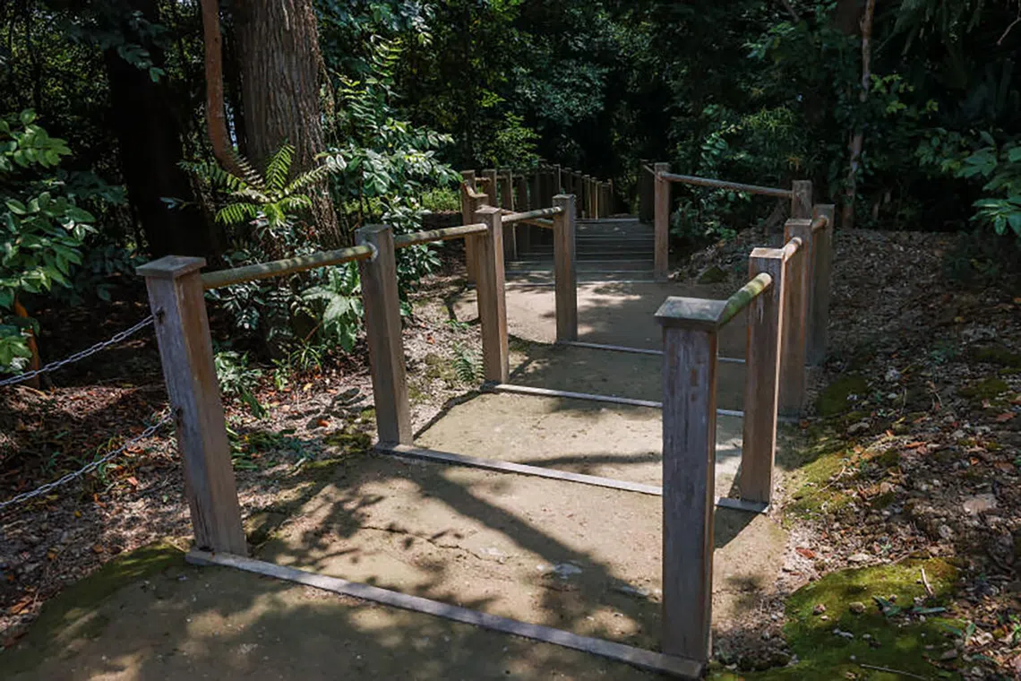 The Ocean Network Express Coastal Forest Trail is pictured on Big Sister's Island on Sept 30, 2026.